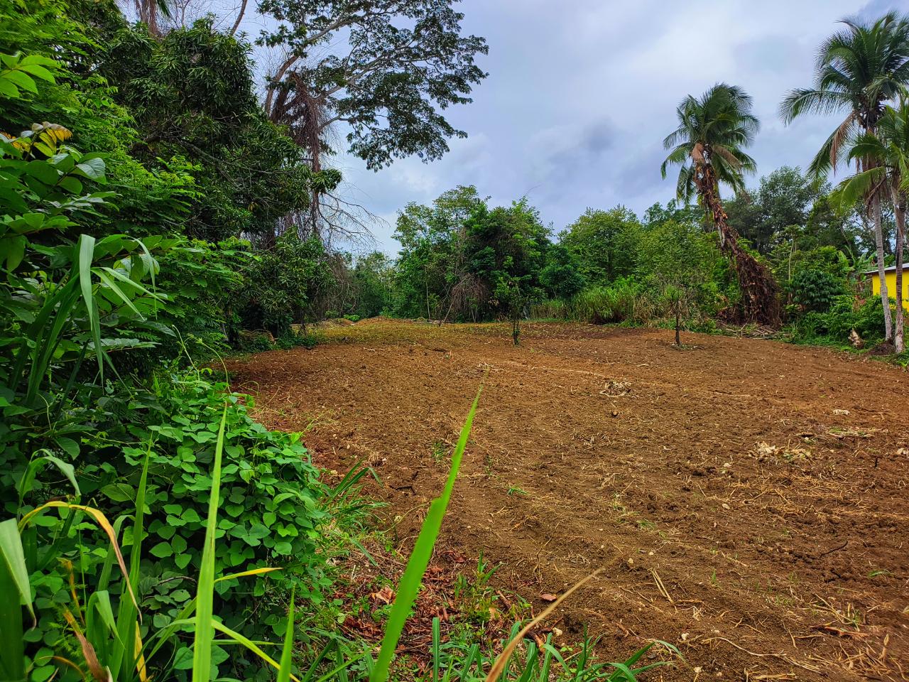 Third image of 108 Charlton Drive, Ewarton in Ewarton, St. Catherine, Jamaica - property is For Sale