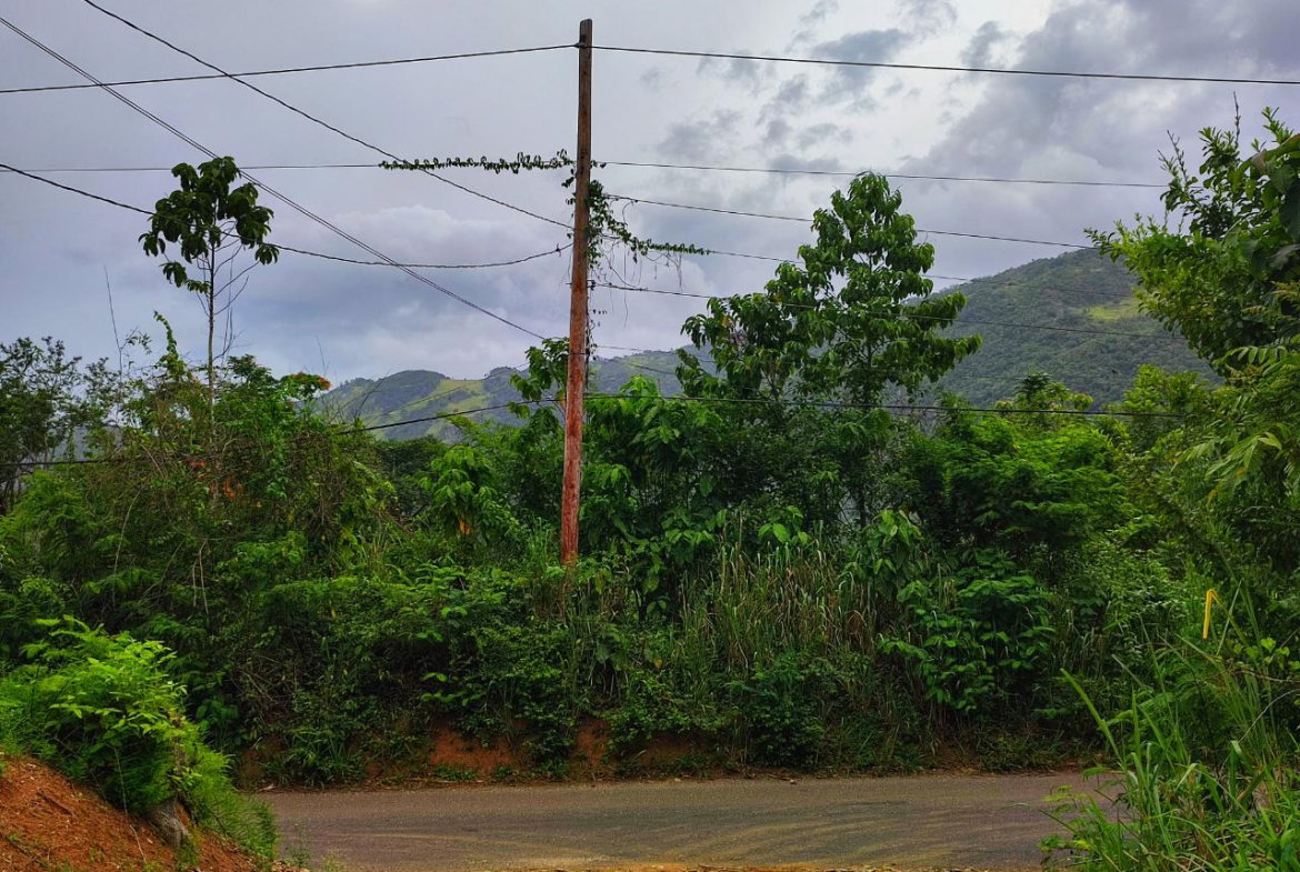 Sixth image of 108 Charlton Drive, Ewarton in Ewarton, St. Catherine, Jamaica - property is For Sale