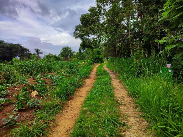 First image of 108 Charlton Drive, Ewarton in Ewarton, St. Catherine, Jamaica - property is For Sale