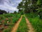 First image of 108 Charlton Drive, Ewarton in Ewarton, St. Catherine, Jamaica - property is For Sale