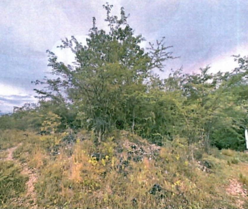 Third image of Smooth Land in Leeds, St. Elizabeth, Jamaica - property is For Sale