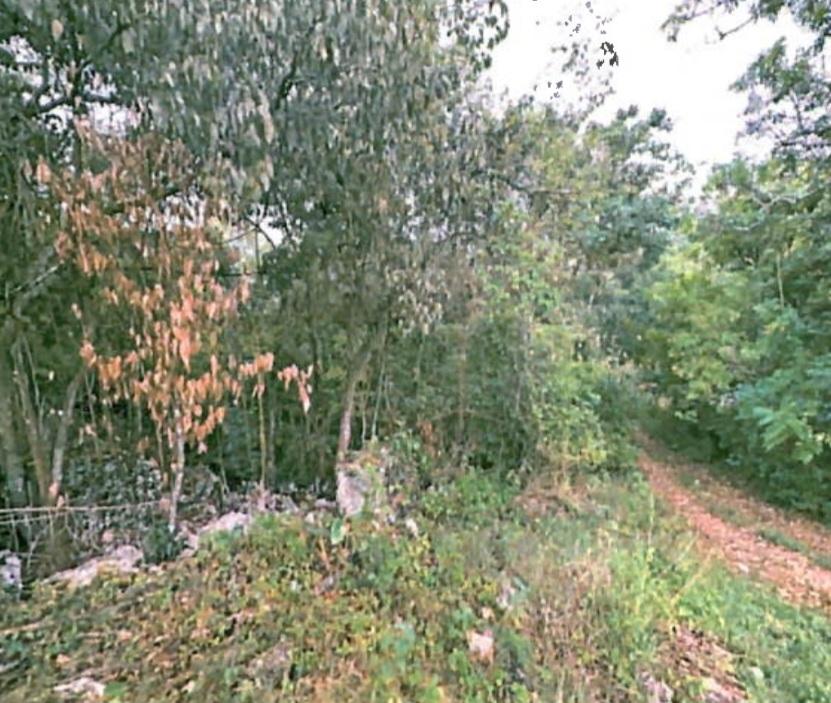 Fourth image of Smooth Land in Leeds, St. Elizabeth, Jamaica - property is For Sale