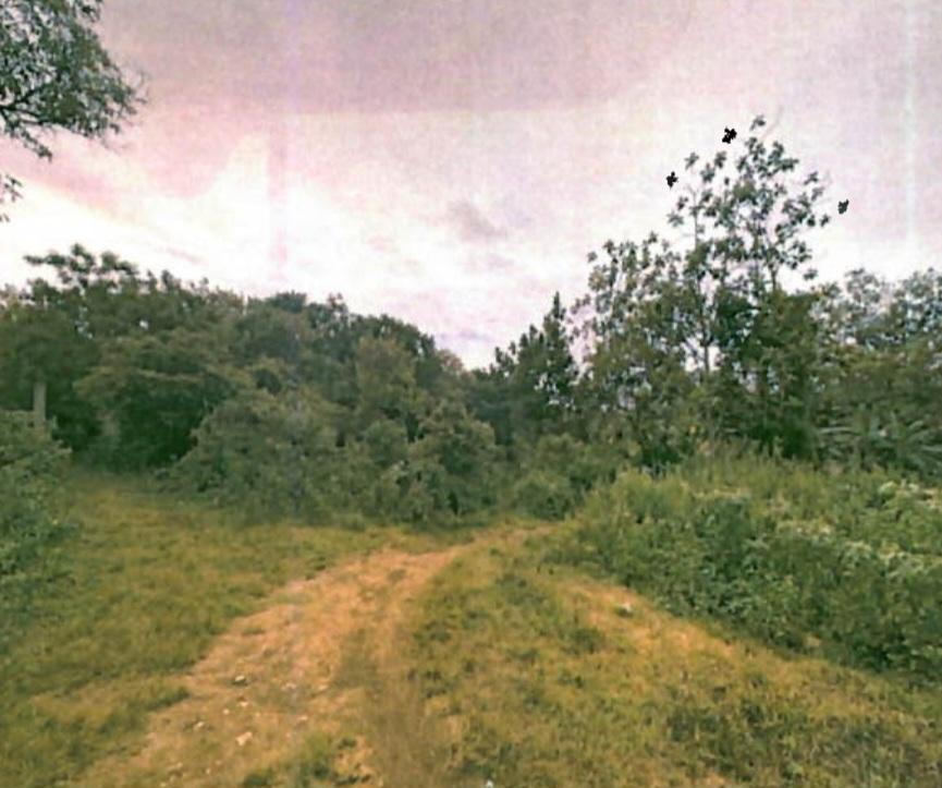 Fifth image of Smooth Land in Leeds, St. Elizabeth, Jamaica - property is For Sale