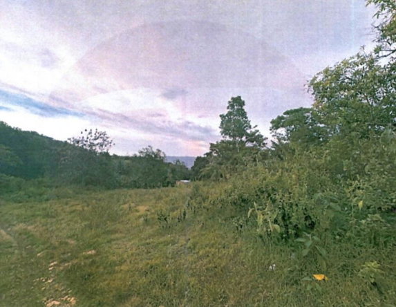 Sixth image of Smooth Land in Leeds, St. Elizabeth, Jamaica - property is For Sale