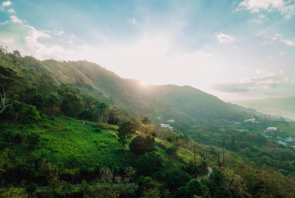 Second image of Part of Jacks Hill Road in Jacks Hill, St. Andrew, Jamaica - property is For Sale