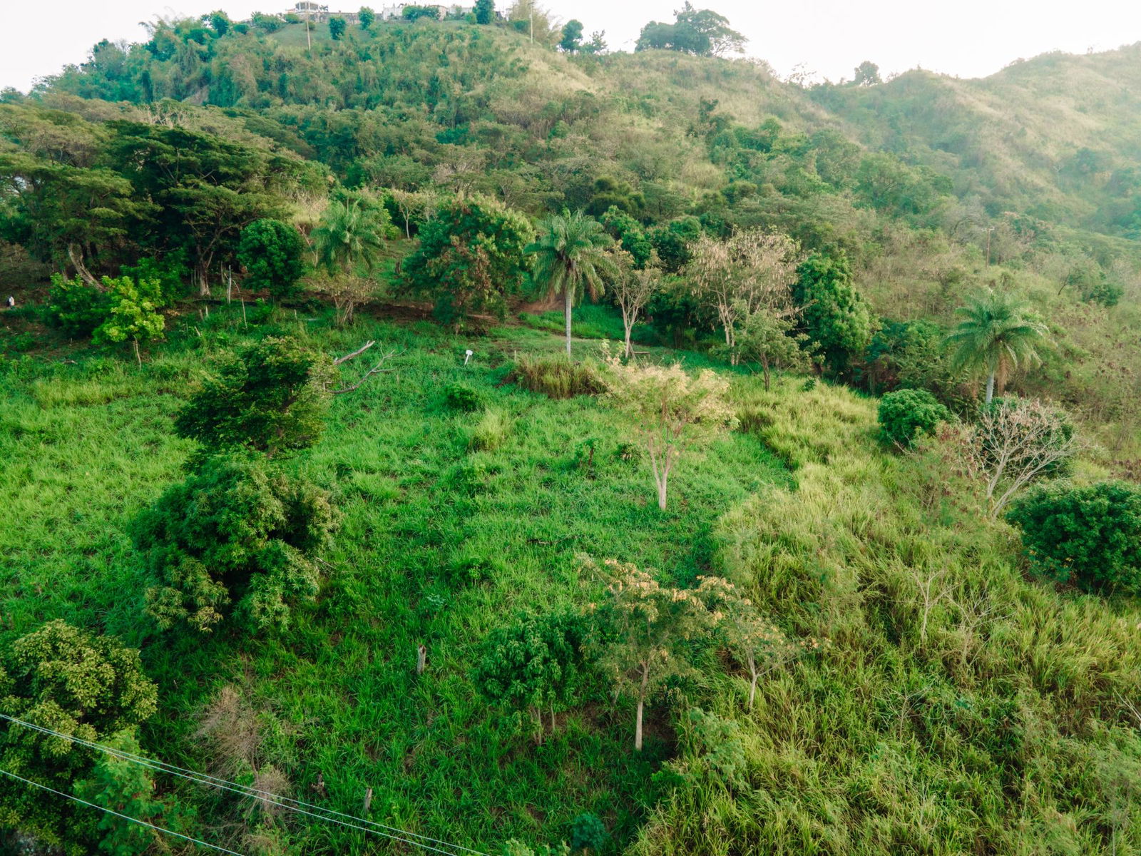 Third image of Part of Jacks Hill Road in Jacks Hill, St. Andrew, Jamaica - property is For Sale