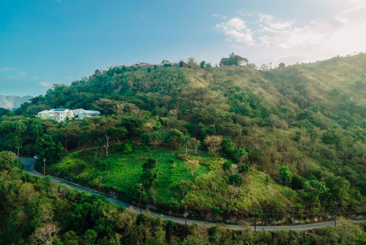 Fourth image of Part of Jacks Hill Road in Jacks Hill, St. Andrew, Jamaica - property is For Sale
