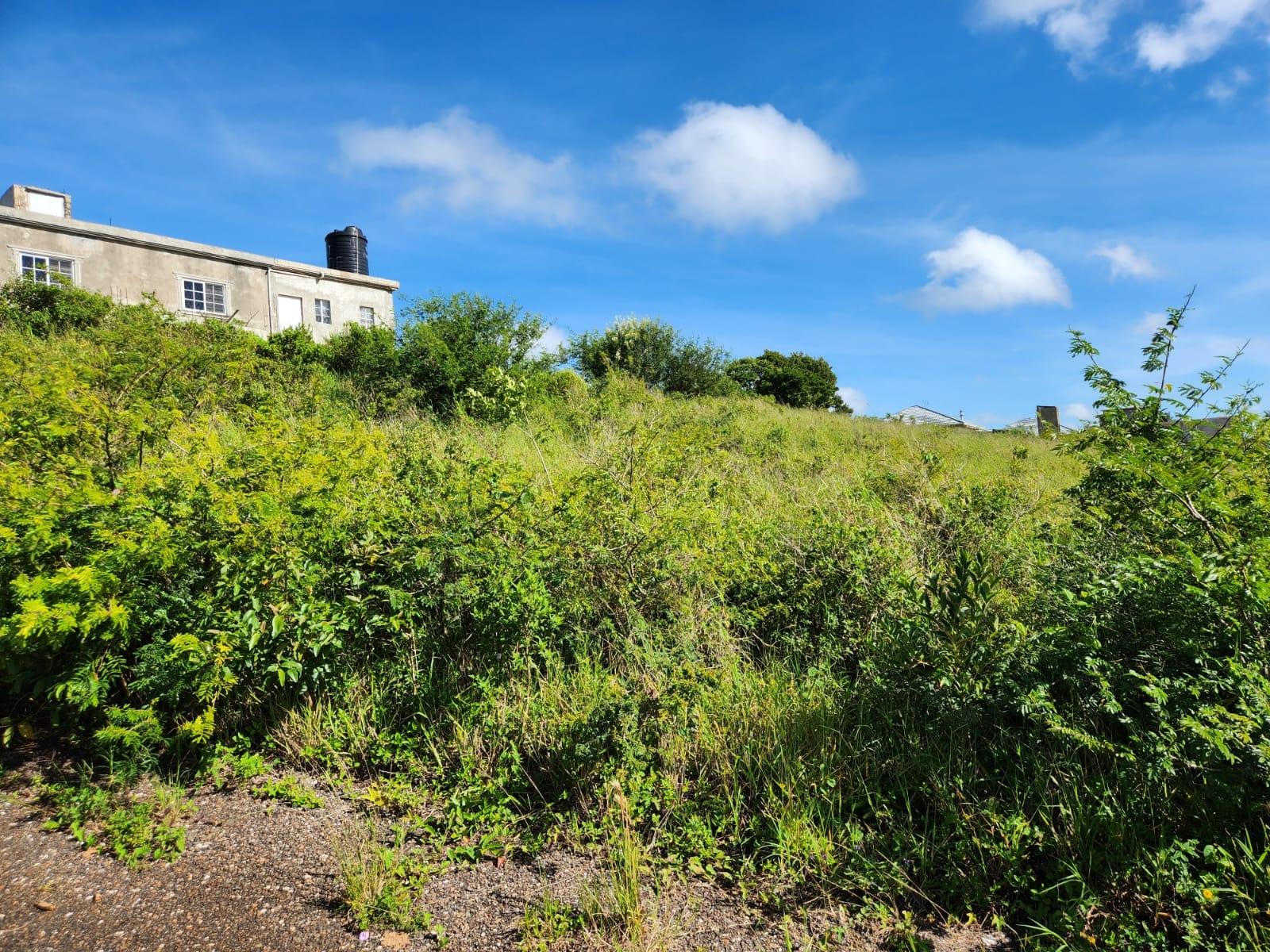 Prime-Residential-Land-for-Sale-in-Manchester-Jamaica-0.4-Acres Second image of 140 Newark Grove in Spur Tree, Manchester, Jamaica - property is For Sale