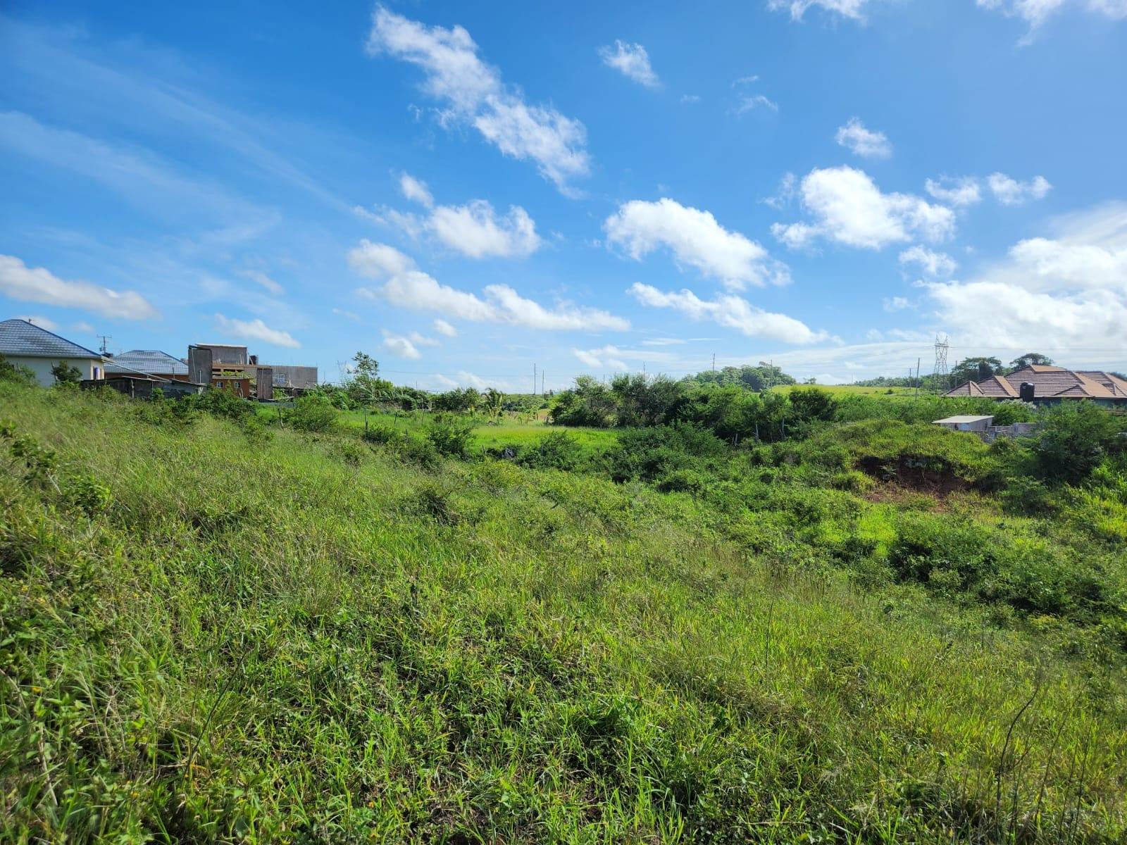 Prime-Residential-Land-for-Sale-in-Manchester-Jamaica-0.4-Acres Fourth image of 140 Newark Grove in Spur Tree, Manchester, Jamaica - property is For Sale