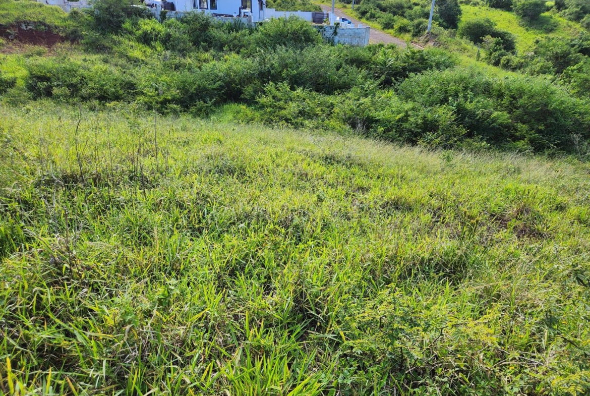 Fifth image of 140 Newark Grove in Spur Tree, Manchester, Jamaica - property is For Sale