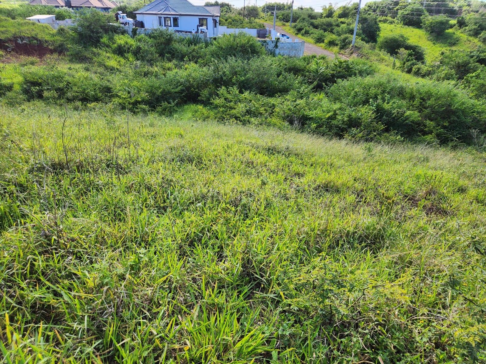 Prime-Residential-Land-for-Sale-in-Manchester-Jamaica-0.4-Acres Fifth image of 140 Newark Grove in Spur Tree, Manchester, Jamaica - property is For Sale