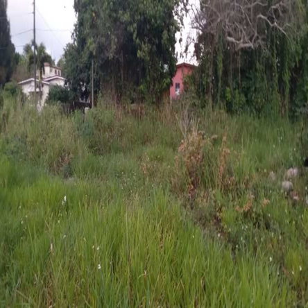 Second image of Caledonia Road, Mandevill in Mandeville, Manchester, Jamaica - property is For Sale
