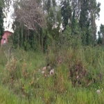 First image of Caledonia Road, Mandevill in Mandeville, Manchester, Jamaica - property is For Sale