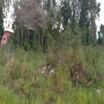 First image of Caledonia Road, Mandevill in Mandeville, Manchester, Jamaica - property is For Sale
