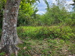 First image of Pampei Road in Lodge, St. Ann, Jamaica - property is For Sale