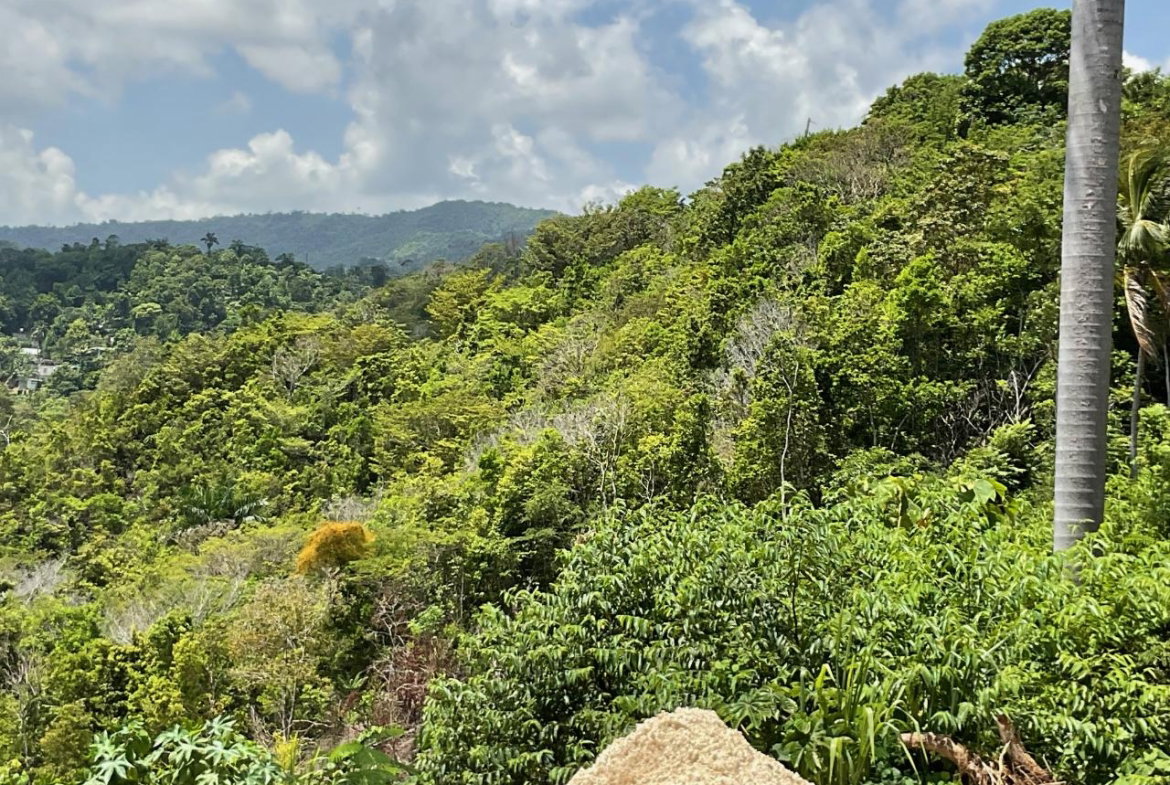 First image of 1 Liberty Hill in St. Ann's Bay, St. Ann, Jamaica - property is For Sale