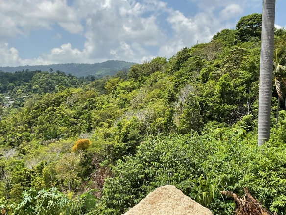 First image of 1 Liberty Hill in St. Ann's Bay, St. Ann, Jamaica - property is For Sale