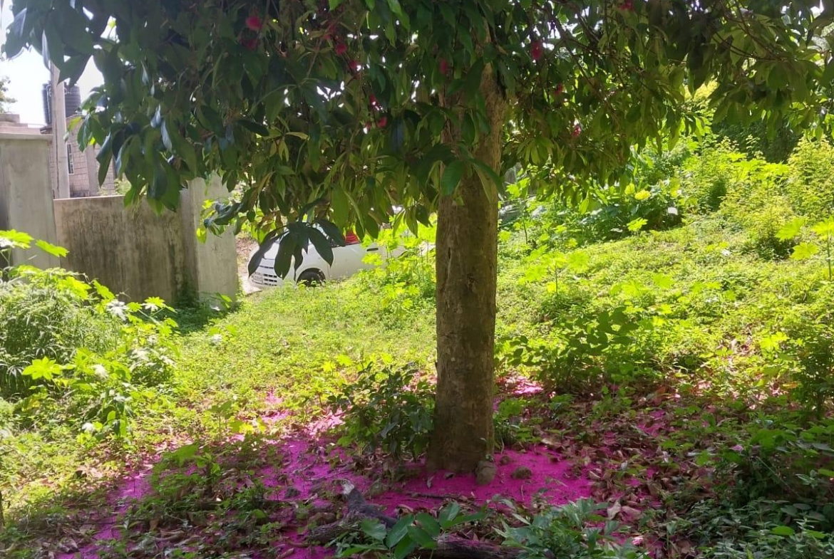 Fifth image of 20 Frontier Estate 2 in Port Maria, St. Mary, Jamaica - property is For Sale
