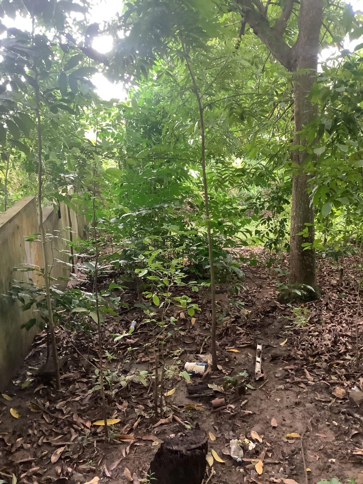 Seventh image of 20 Frontier Estate 2 in Port Maria, St. Mary, Jamaica - property is For Sale