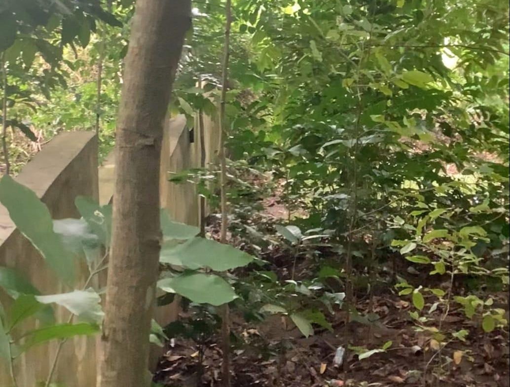 Eighth image of 20 Frontier Estate 2 in Port Maria, St. Mary, Jamaica - property is For Sale
