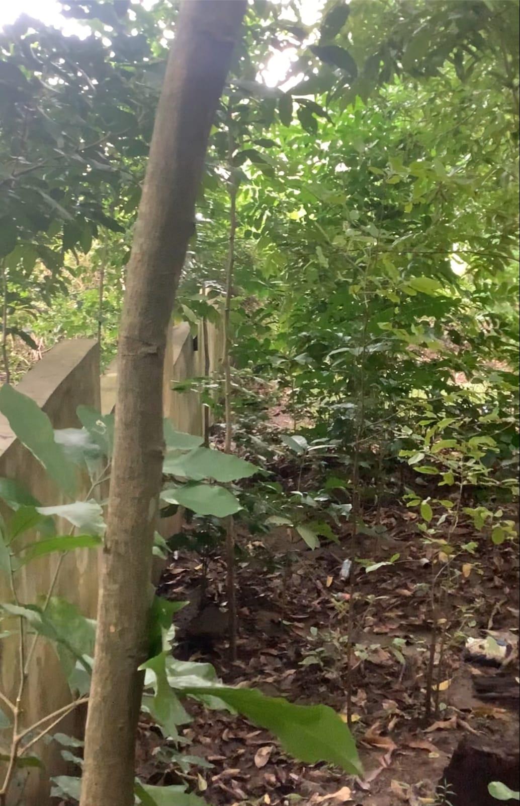 Eighth image of 20 Frontier Estate 2 in Port Maria, St. Mary, Jamaica - property is For Sale