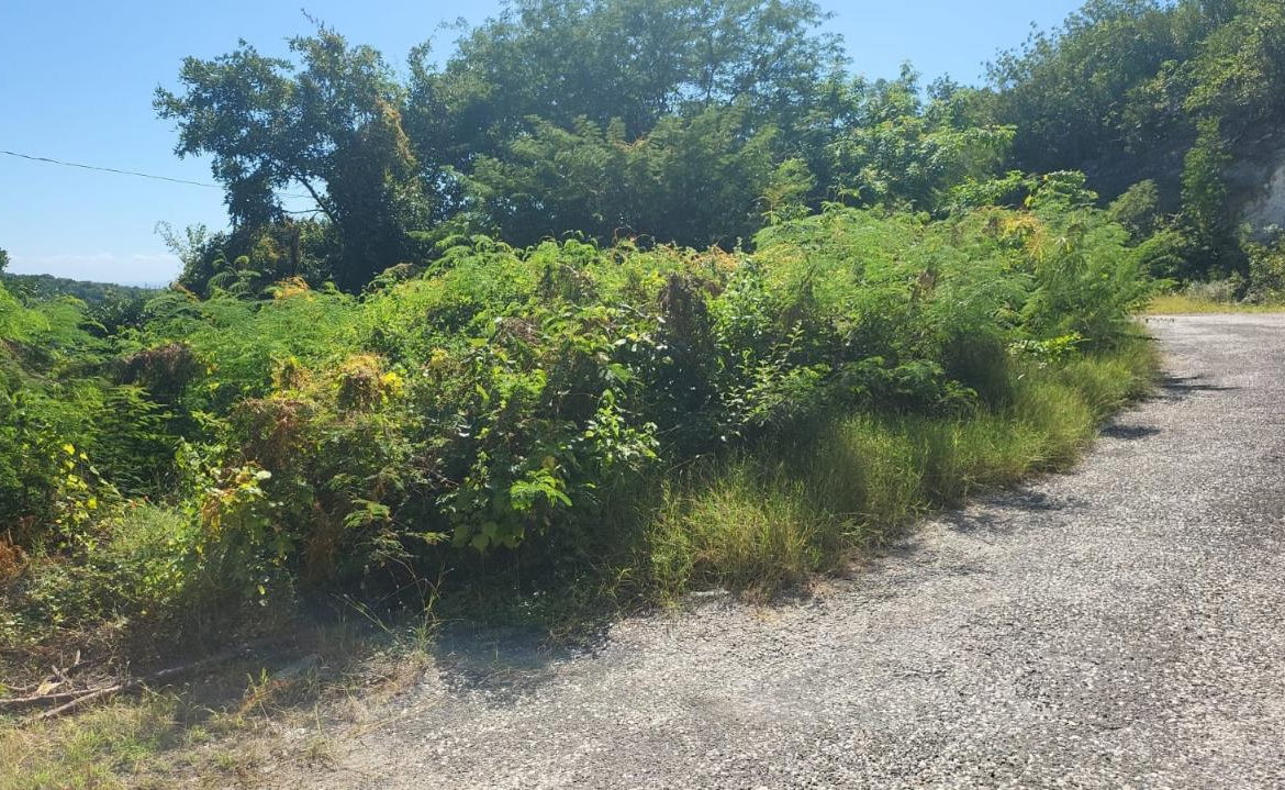 Second image of Spring Garden, Albion Est in Albion Estate, St. Thomas, Jamaica - property is For Sale