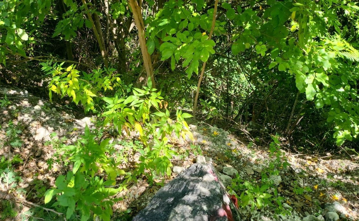 Fourth image of Spring Garden, Albion Est in Albion Estate, St. Thomas, Jamaica - property is For Sale