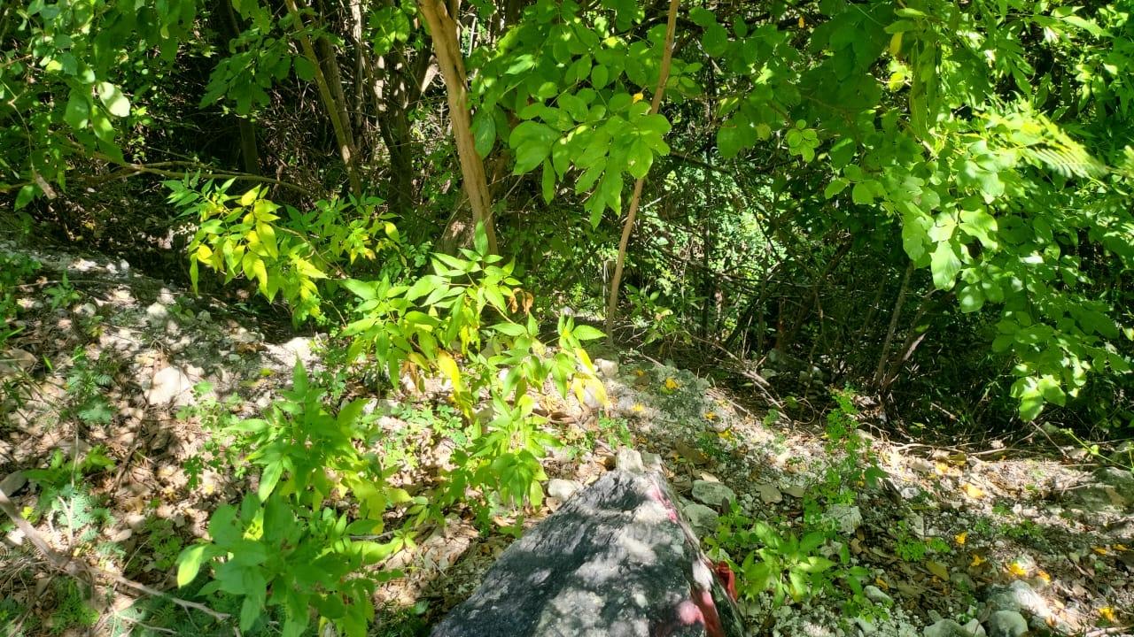 Fourth image of Spring Garden, Albion Est in Albion Estate, St. Thomas, Jamaica - property is For Sale