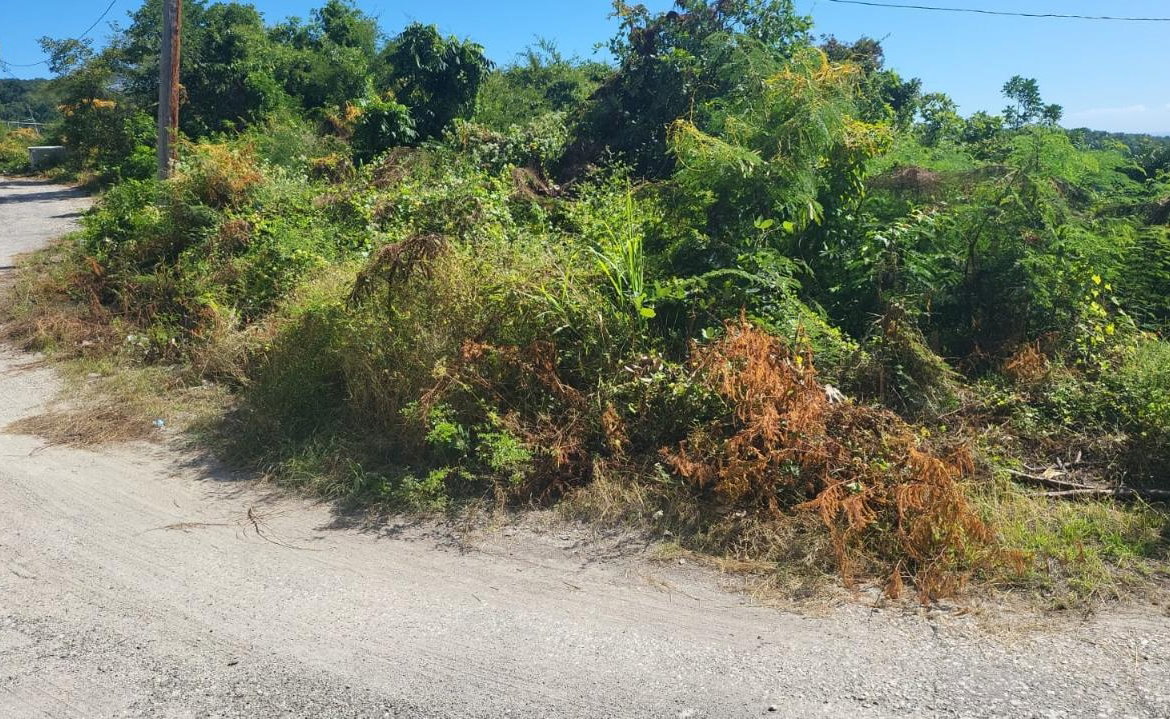 Eighth image of Spring Garden, Albion Est in Albion Estate, St. Thomas, Jamaica - property is For Sale