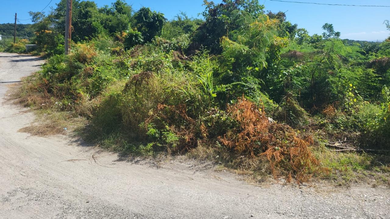 Eighth image of Spring Garden, Albion Est in Albion Estate, St. Thomas, Jamaica - property is For Sale