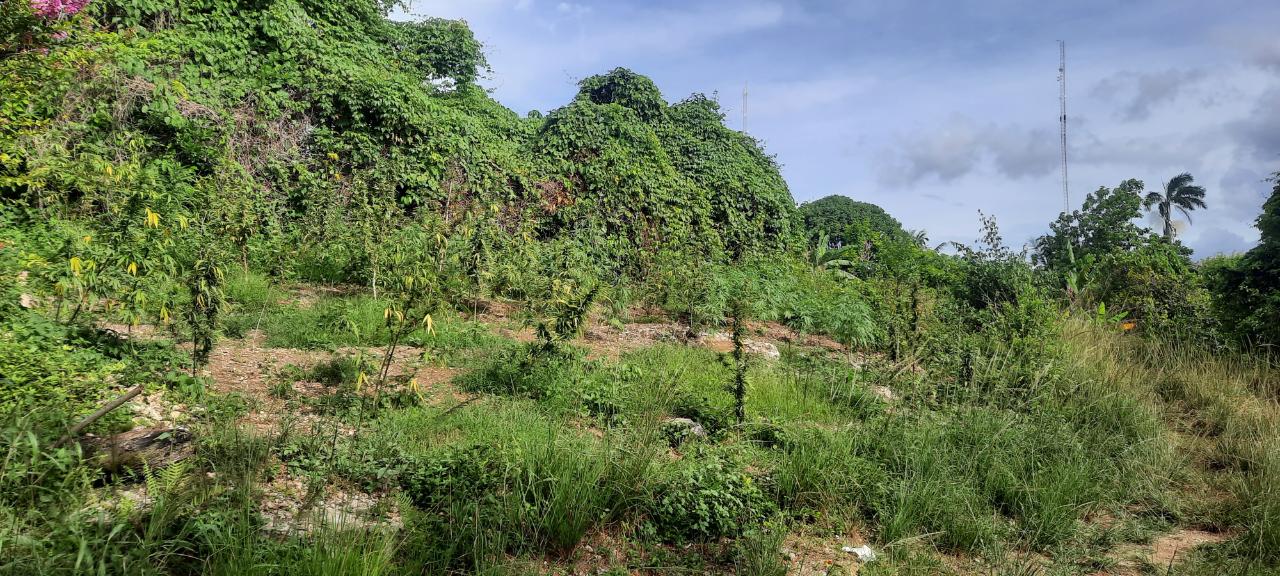Twelfth image of 00- Anchovy in Anchovy, St. James, Jamaica - property is For Sale