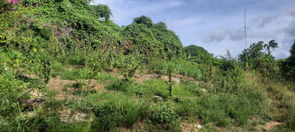 Twelfth image of 00- Anchovy in Anchovy, St. James, Jamaica - property is For Sale