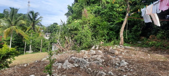Thirteenth image of 00- Anchovy in Anchovy, St. James, Jamaica - property is For Sale