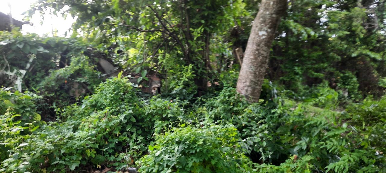 Third image of 00- Anchovy in Anchovy, St. James, Jamaica - property is For Sale
