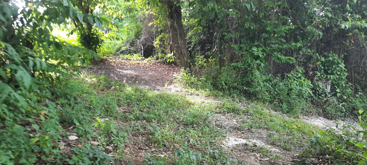 Fourth image of 00- Anchovy in Anchovy, St. James, Jamaica - property is For Sale