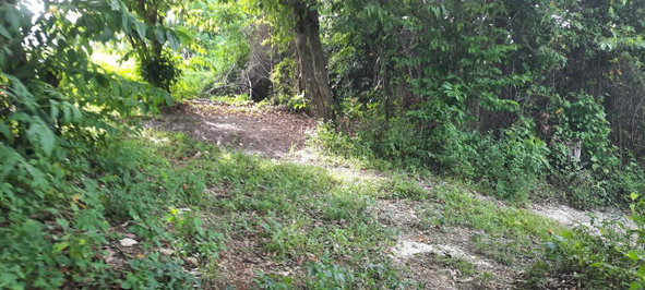 Fourth image of 00- Anchovy in Anchovy, St. James, Jamaica - property is For Sale