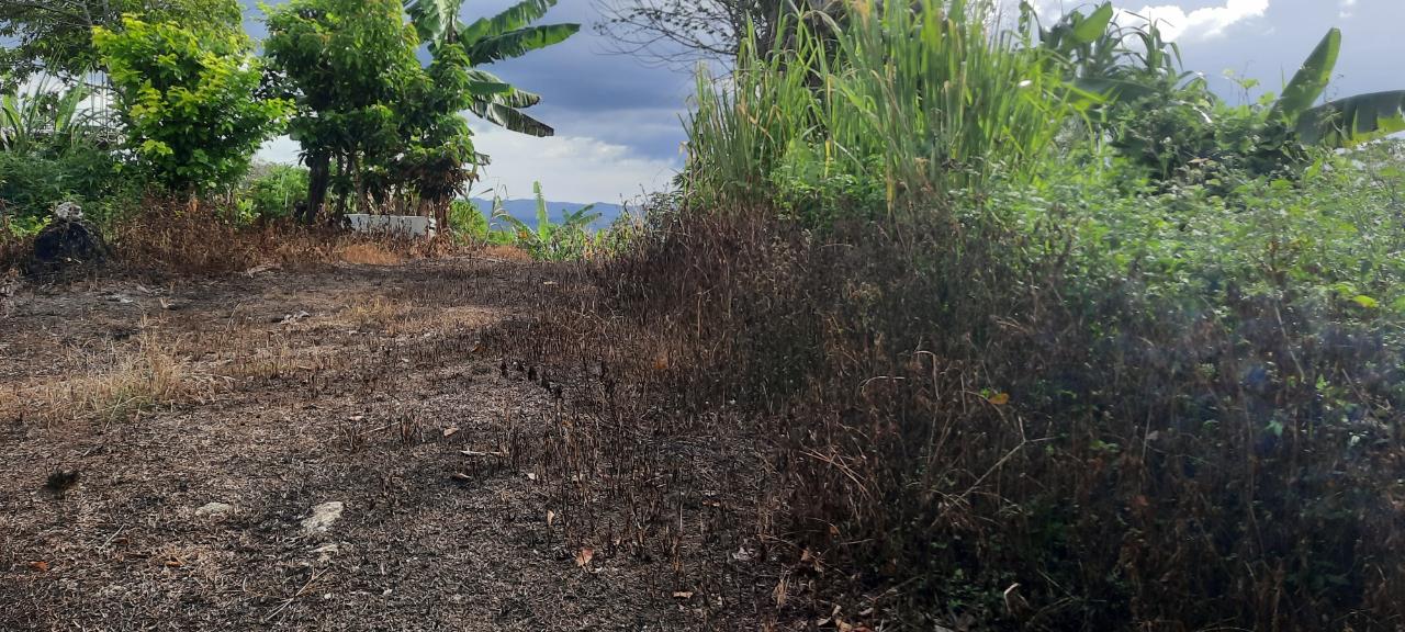 Fifth image of 00- Anchovy in Anchovy, St. James, Jamaica - property is For Sale