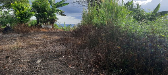 Fifth image of 00- Anchovy in Anchovy, St. James, Jamaica - property is For Sale