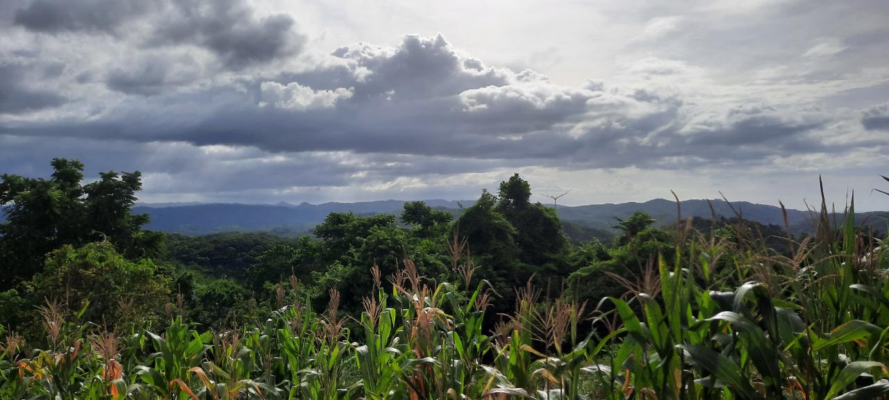 Eighth image of 00- Anchovy in Anchovy, St. James, Jamaica - property is For Sale