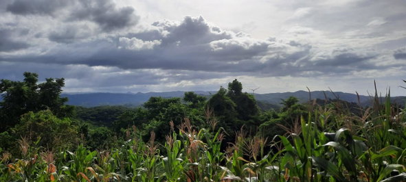 Eighth image of 00- Anchovy in Anchovy, St. James, Jamaica - property is For Sale