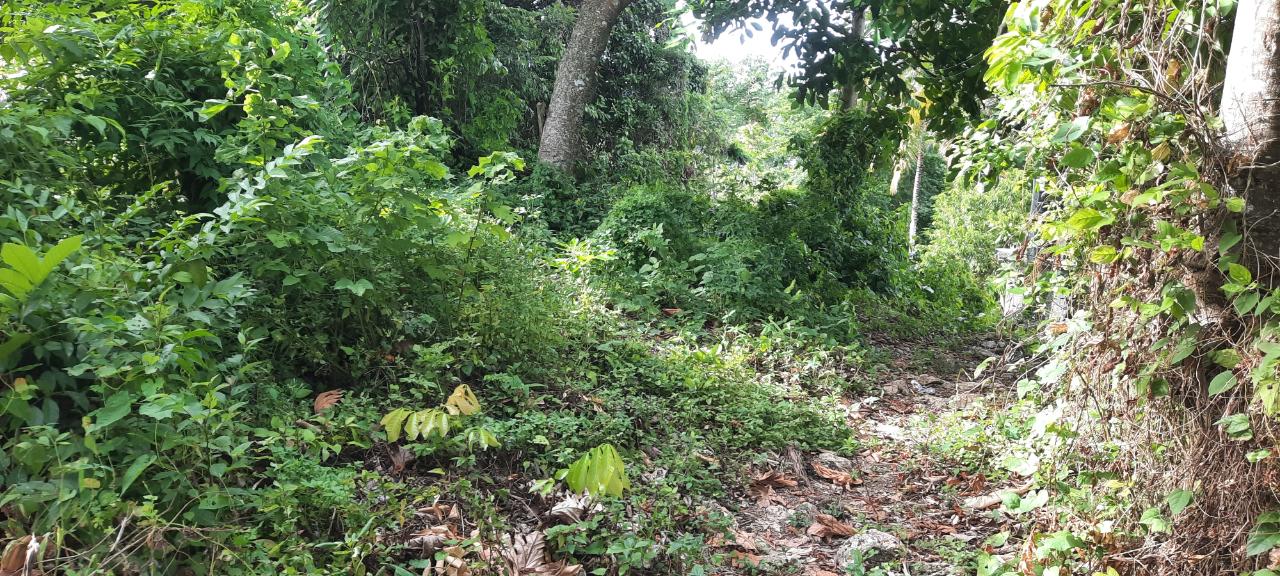 First image of 00- Anchovy in Anchovy, St. James, Jamaica - property is For Sale