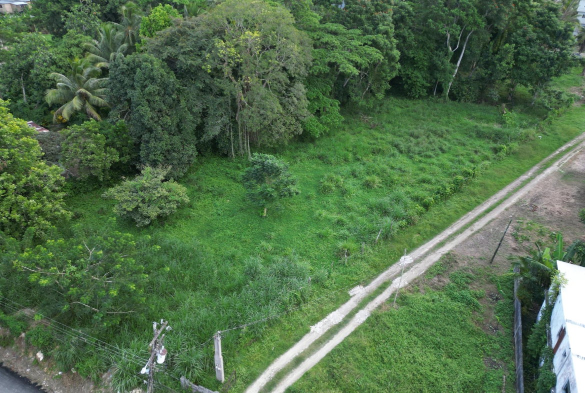 Eleventh image of Anchovy in Anchovy, St. James, Jamaica - property is For Sale