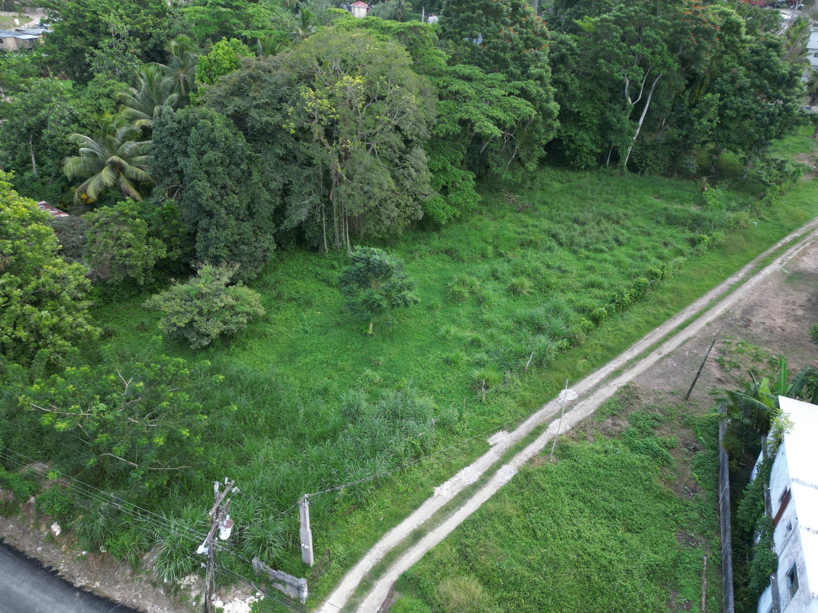 Prime-Residential-Lot-for-Sale-in-Anchovy-St.-James-1-Acre-of-Tranquility Eleventh image of Anchovy in Anchovy, St. James, Jamaica - property is For Sale