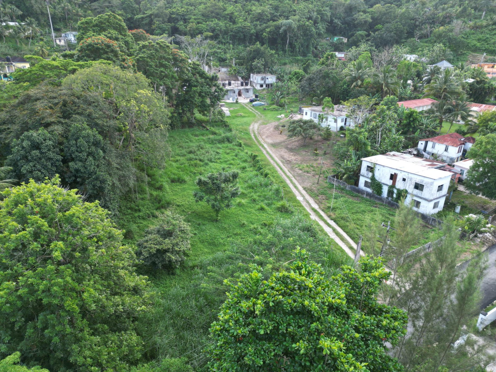 Prime-Residential-Lot-for-Sale-in-Anchovy-St.-James-1-Acre-of-Tranquility Twelfth image of Anchovy in Anchovy, St. James, Jamaica - property is For Sale