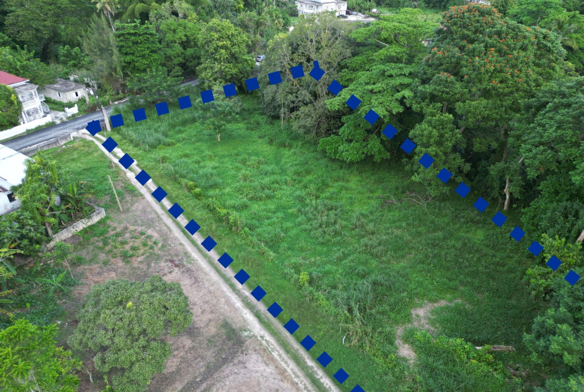 Fourth image of Anchovy in Anchovy, St. James, Jamaica - property is For Sale