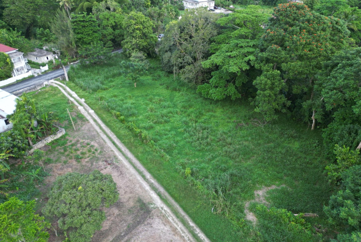 Tenth image of Anchovy in Anchovy, St. James, Jamaica - property is For Sale
