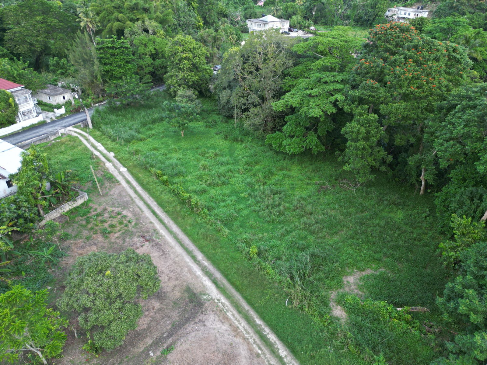 Prime-Residential-Lot-for-Sale-in-Anchovy-St.-James-1-Acre-of-Tranquility Tenth image of Anchovy in Anchovy, St. James, Jamaica - property is For Sale