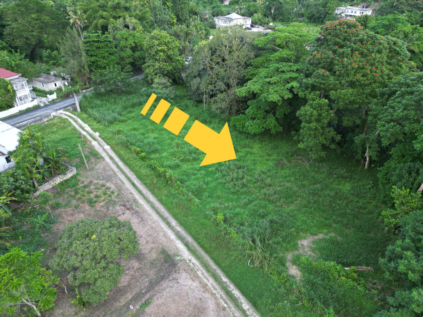 Prime-Residential-Lot-for-Sale-in-Anchovy-St.-James-1-Acre-of-Tranquility First image of Anchovy in Anchovy, St. James, Jamaica - property is For Sale