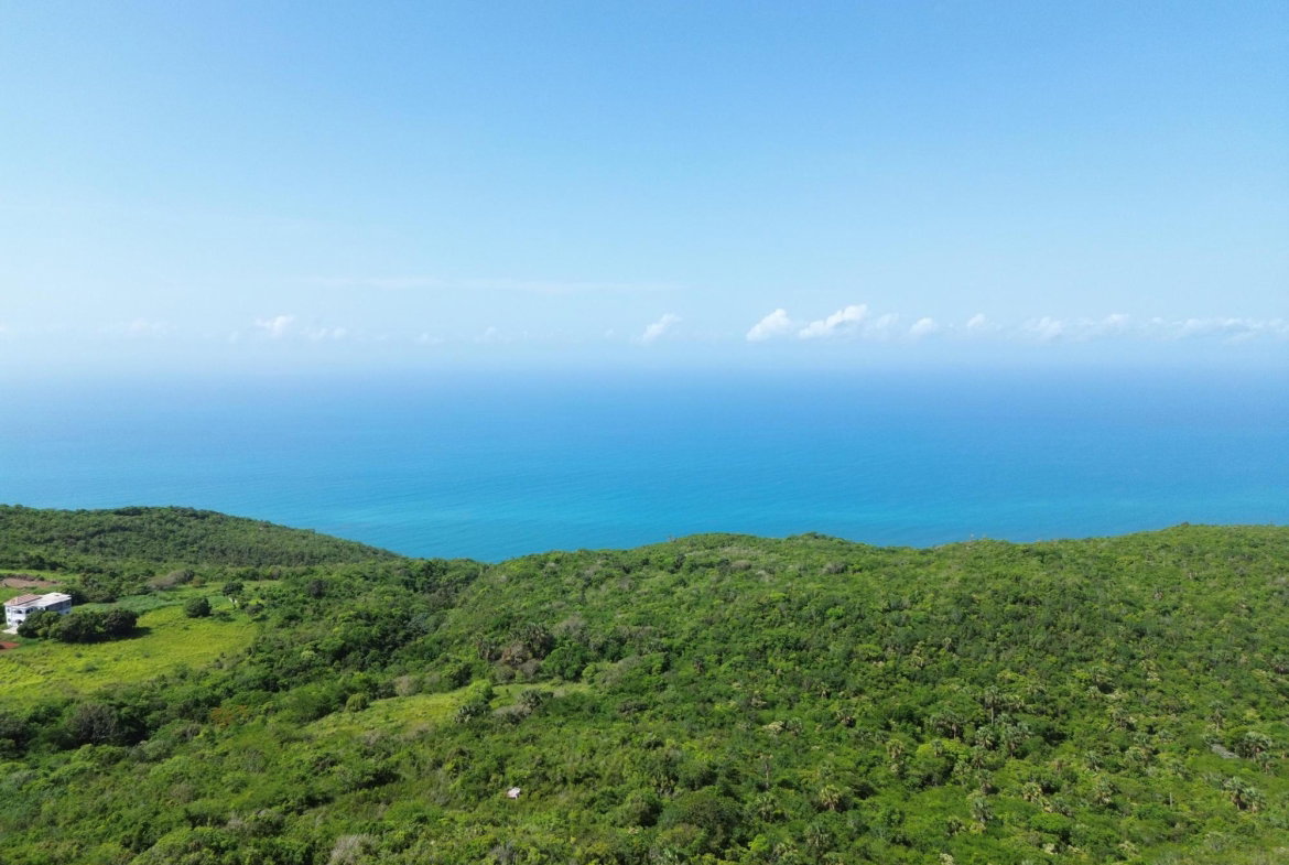 Second image of Lot 14 Ballards Valley in Junction, St. Elizabeth, Jamaica - property is For Sale