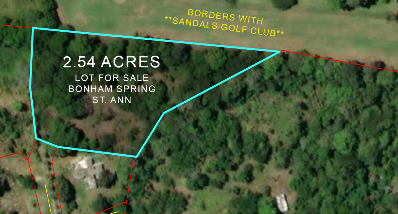 Second image of Bonham Spring in Ocho Rios, St. Ann, Jamaica - property is For Sale